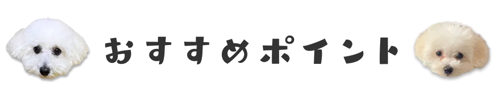 おすすめポイント