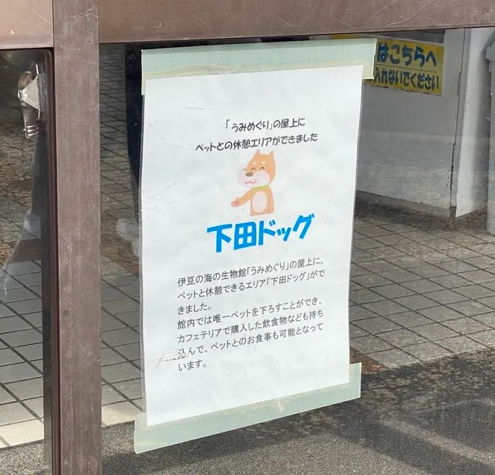 下田海中水族館 下田ドッグ
