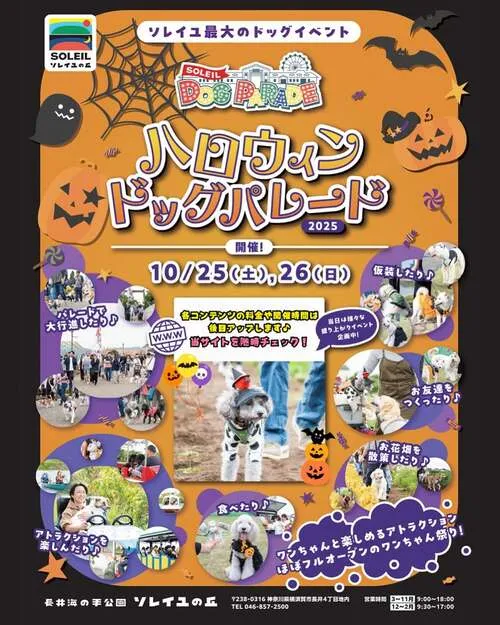 SOLEIL HALLOWEEN DOG PARADE 2025