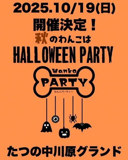 第8回わんこparty