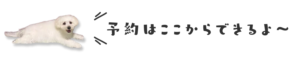 予約はここからできるよ