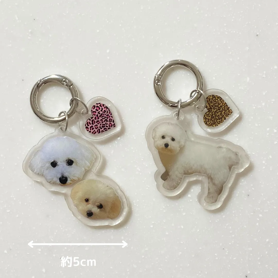SHEIN　愛犬グッズ　アクリルキーホルダー