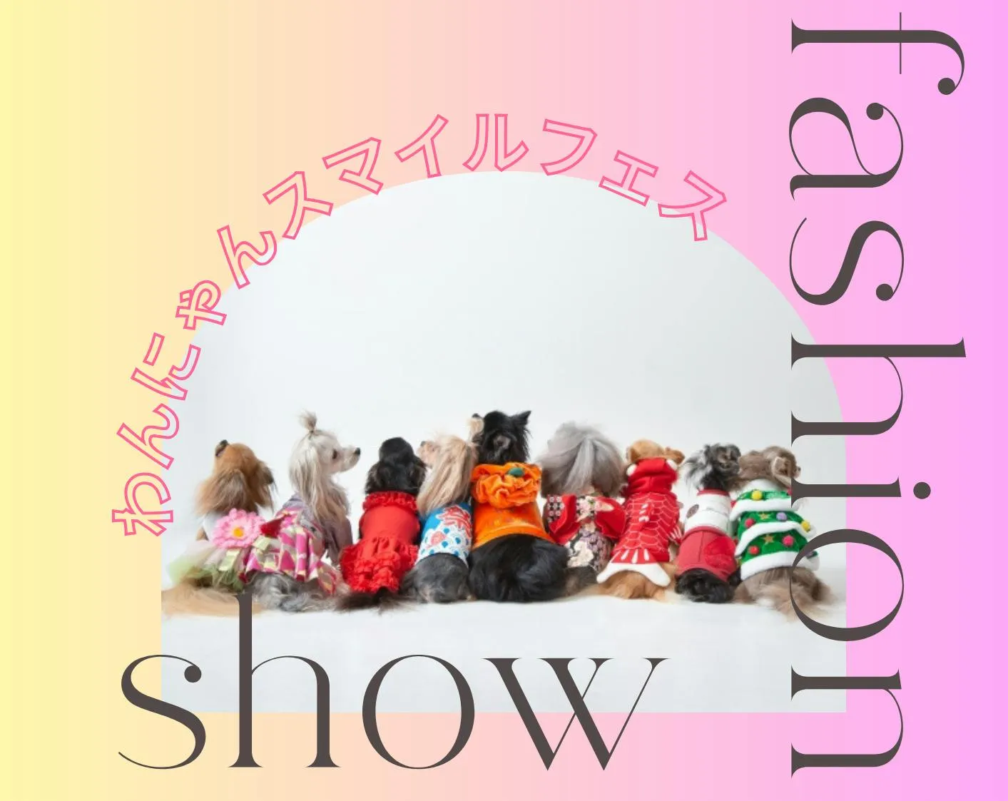 ワンちゃんファッションショー