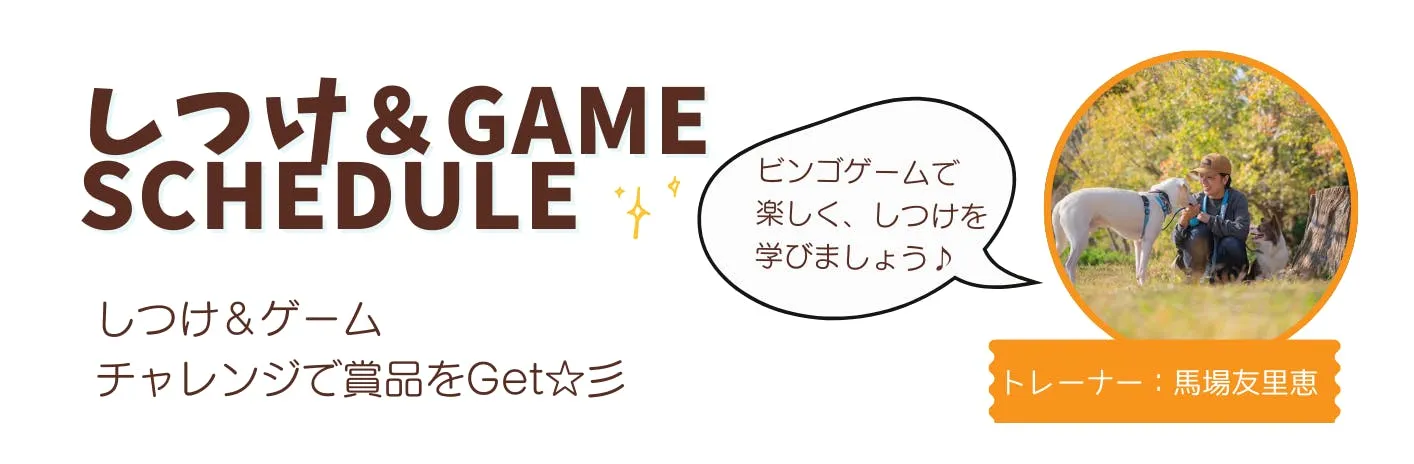 しつけ＆ゲーム