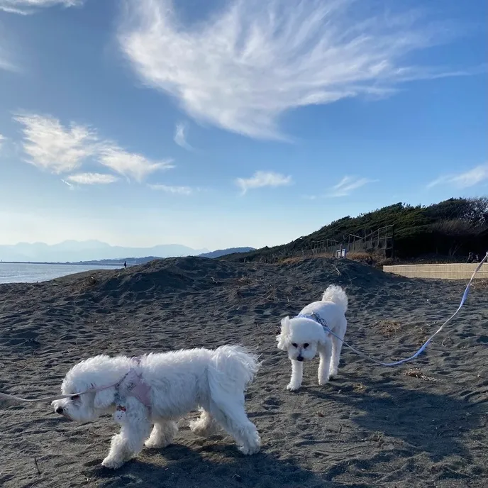 ひらつかシーテラス 海辺