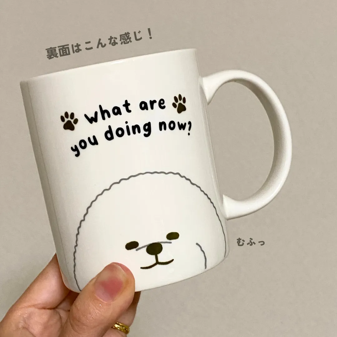 ビション マグカップ