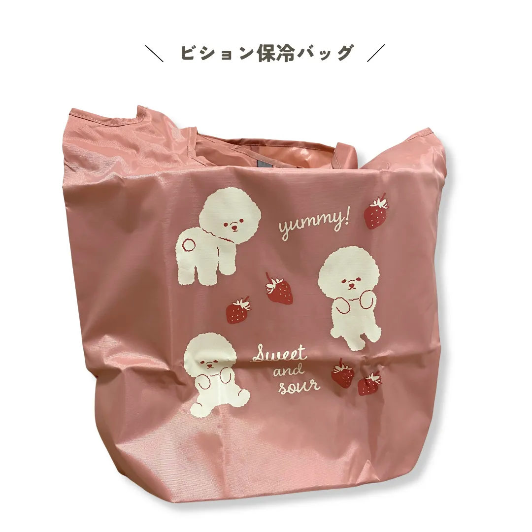 illusie300　ビション　保冷バッグ