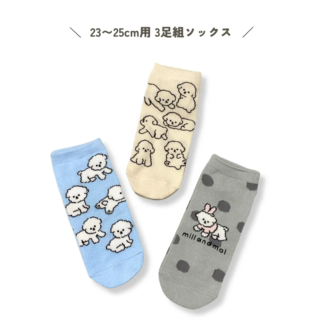 パシオス　ビションソックス　mill and moi