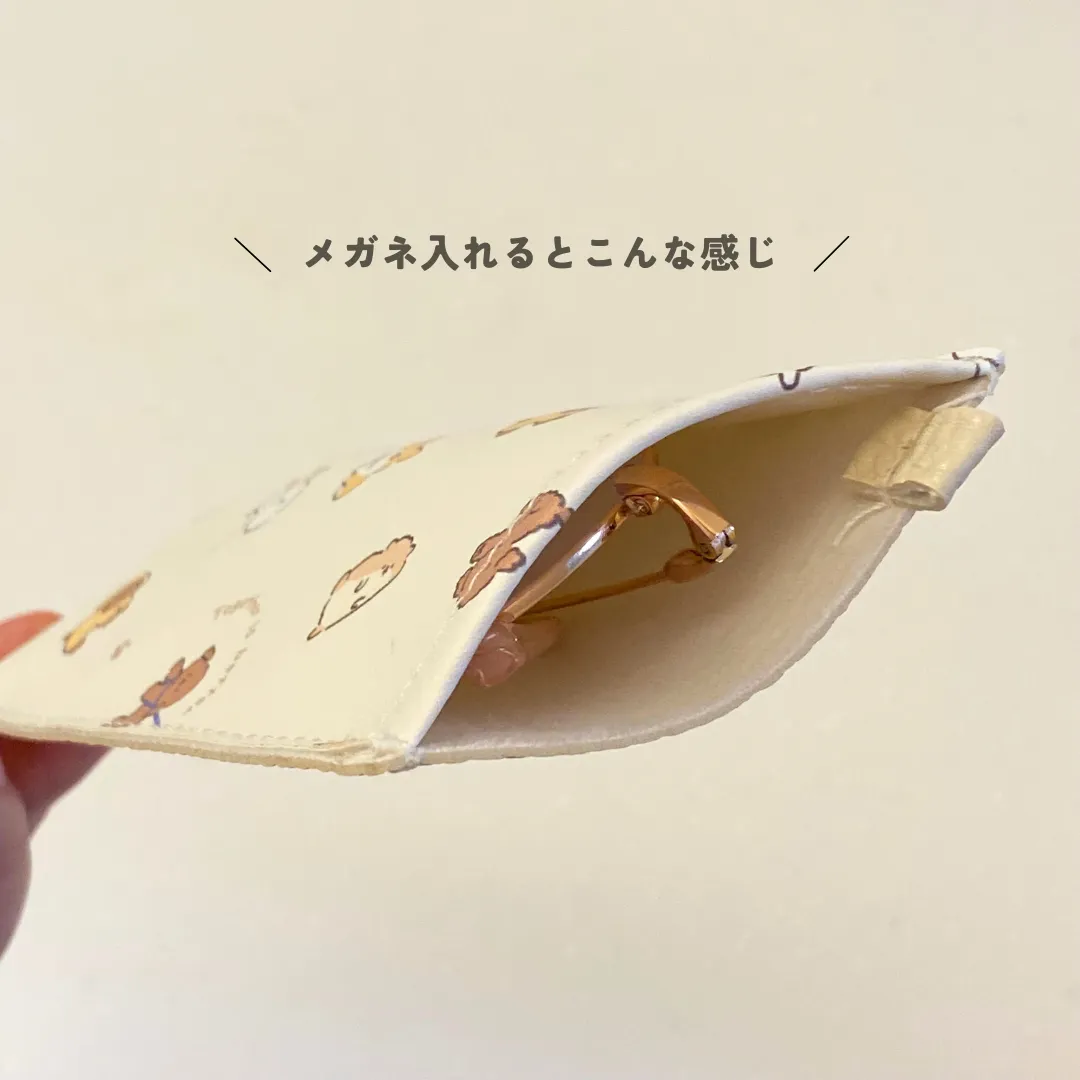セリア　ビション　メガネケース