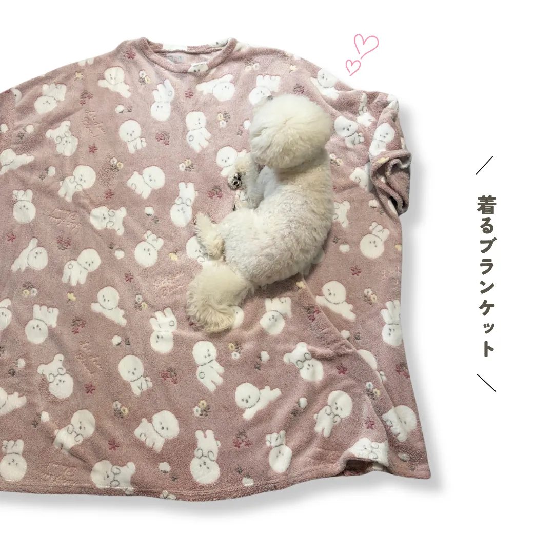 illusie300　ビション　着るブランケット