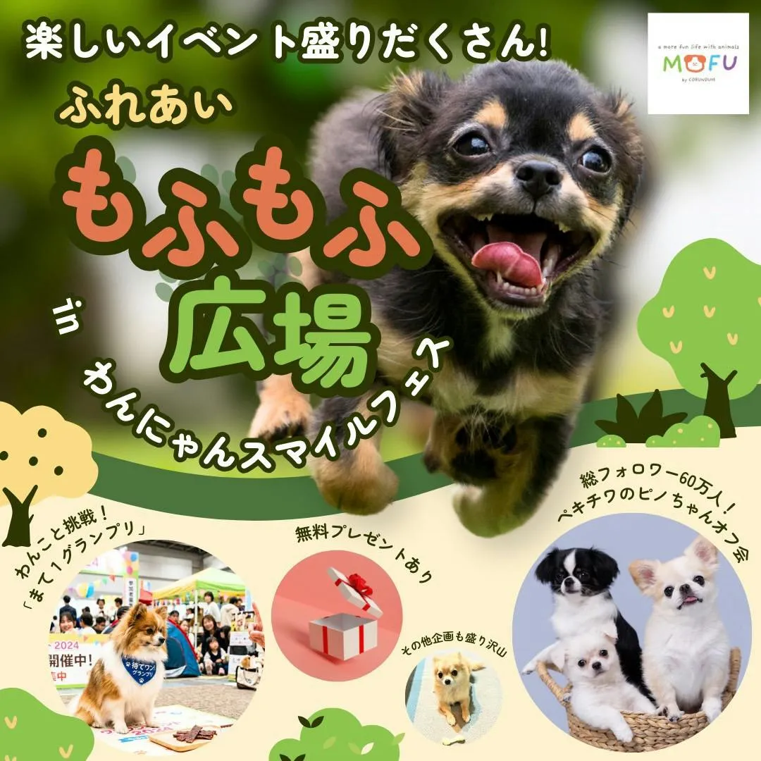 わんにゃんスマイルフェス2026・秋　