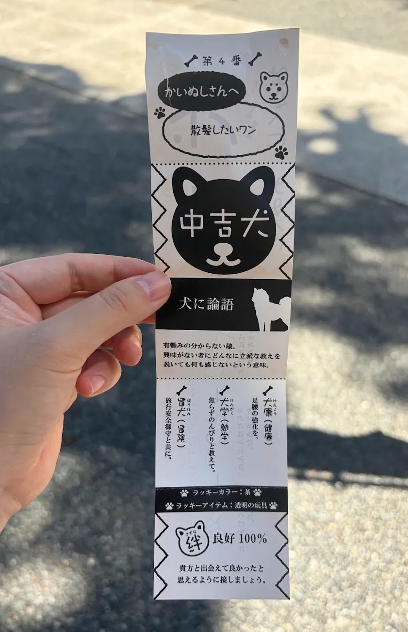 伊豆白濱神社 犬みくじ