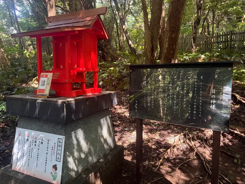 伊豆白濱神社 目の神様