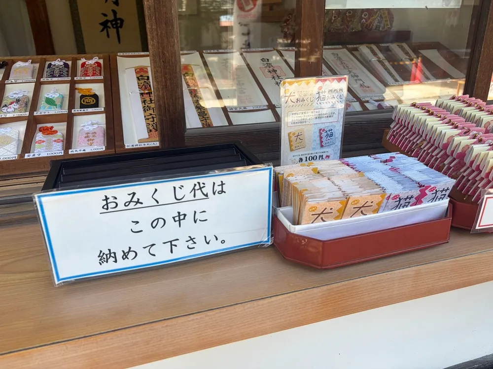 伊豆白濱神社 犬みくじ